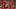 Kansas City Chiefs defense Kansas City Chiefs defense