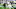 Arizona Cardinals running back Michael Carter rushes and stiff arms Seattle Seahawks linebacker Tyrice Knight Arizona Cardinals running back Michael Carter rushes and stiff arms Seattle Seahawks linebacker Tyrice Knight