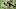 Oregon Ducks linebacker Devon Jackson Oregon Ducks linebacker Devon Jackson