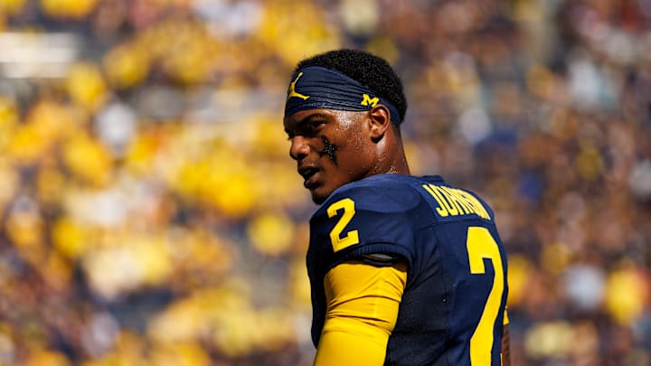 Michigan's Will Johnson