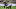 Pittsburgh Steelers cornerback Asante Samuel Jr. Pittsburgh Steelers cornerback Asante Samuel Jr.