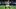 New York Giants cornerback Paulson Adebo New York Giants cornerback Paulson Adebo