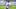 New England Patriots punter Bryce Baringer New England Patriots punter Bryce Baringer
