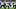 Seattle Seahawks quarterback Jalen Milroe stands in the pocket against the Tennessee Titans Seattle Seahawks quarterback Jalen Milroe stands in the pocket against the Tennessee Titans