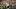 Fantasy Football, Joe Burrow, Cincinnati Bengals Fantasy Football, Joe Burrow, Cincinnati Bengals