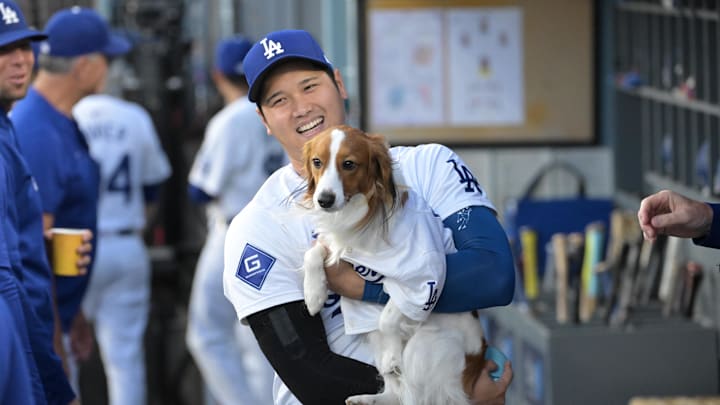 Ohtani walks through the dugout with his dog Decoy. 