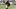 Jaylen Warren, Pittsburgh Steelers, 2026 Fantasy Football Jaylen Warren, Pittsburgh Steelers, 2026 Fantasy Football