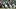 Philadelphia Eagles linebacker Joshua Uche (0) and linebacker Jihaad Campbell (30) tackle New York Giants quarterback Jaxson Philadelphia Eagles linebacker Joshua Uche (0) and linebacker Jihaad Campbell (30) tackle New York Giants quarterback Jaxson
