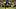 Pittsburgh Steelers cornerback Joey Porter Jr. Pittsburgh Steelers cornerback Joey Porter Jr.