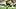 Pittsburgh Steelers wide receiver DK Metcalf Pittsburgh Steelers wide receiver DK Metcalf
