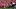 Wisconsin Badgers offensive line Wisconsin Badgers offensive line