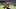 Pittsburgh Steelers quarterback Drew Allar 