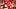 Tyquan Thornton has the potential to be a strong receiving option for Patrick Mahomes. Tyquan Thornton has the potential to be a strong receiving option for Patrick Mahomes.
