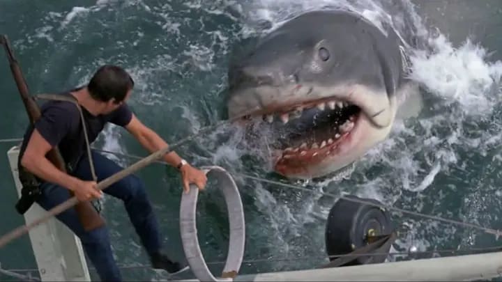 ‘Jaws’ changed the summer movie season when it premiered in 1975.
