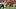 oregon ducks dan lanning defense improvements chris hampton koi perich usc trojans lincoln riley offense big ten oregon ducks dan lanning defense improvements chris hampton koi perich usc trojans lincoln riley offense big ten