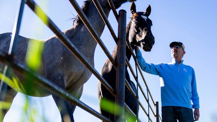 Bill Welch visits with his race horses on Nov. 3, 2025, at his Pleasant Hill home. Welch, a Nebraska native, purchased 80 acres in Pleasant Hill to raise Iowa-bred racehorses to compete at Prairie Meadows.