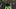 oregon ducks chris hampton trey mcnutt injury recovery broken leg fall camp evan stewart spring game aaron flowers koi perich oregon ducks chris hampton trey mcnutt injury recovery broken leg fall camp evan stewart spring game aaron flowers koi perich