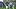 Philadelphia Eagles quarterback Jalen Hurts