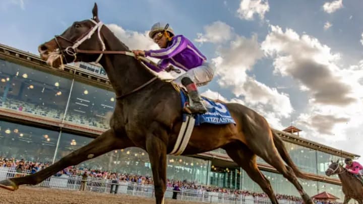 Tiztastic looks to improve on his 3-1-2 record with a win at the Kentucky Derby Tiztastic looks to improve on his 3-1-2 record with a win at the Kentucky Derby