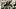 Pittsburgh Steelers quarterback Aaron Rodgers Pittsburgh Steelers quarterback Aaron Rodgers
