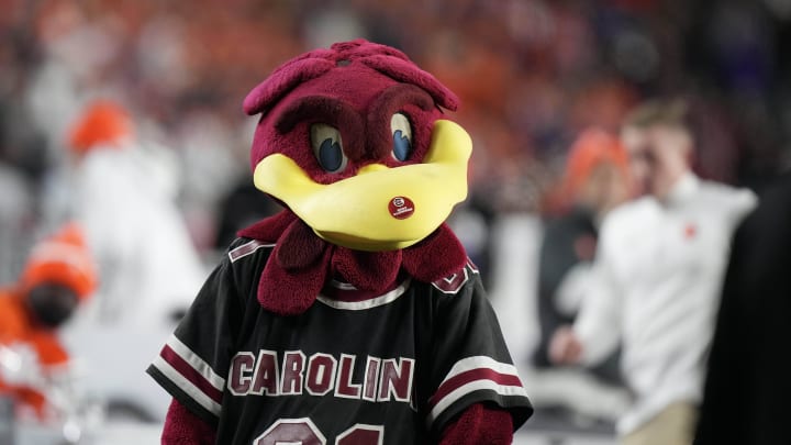 Nov 25, 2023; Columbia, South Carolina, USA; South Carolina Gamecocks mascot Cocky performs on the side lines in the second half against the Clemson Tigers at Williams-Brice Stadium. Mandatory Credit: David Yeazell-USA TODAY Sports