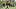 Pittsburgh Steelers safety Jaquan Brisker Pittsburgh Steelers safety Jaquan Brisker
