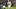 New England Patriots quarterback Drake Maye (10) New England Patriots quarterback Drake Maye (10)