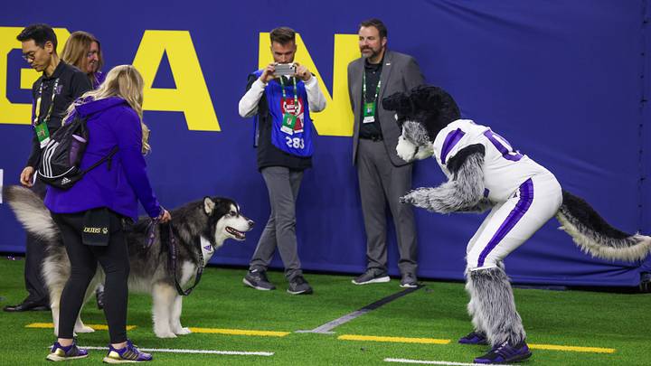 Jan 8, 2024; Houston, TX, USA; Dubs (left) the Washington Huskies live mascot looks at the Hank the Huskies mascot before the Huskies played against the Michigan Wolverines n the 2024 College Football Playoff national championship game at NRG Stadium. Mandatory Credit: Thomas Shea-USA TODAY Sports