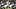 Arizona Cardinals QB Gardner Minshe Arizona Cardinals QB Gardner Minshe