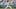 Houston Astros starting pitcher Tatsuya Imai Houston Astros starting pitcher Tatsuya Imai