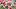 Ohio receiver Eian Pugh (12) is tackled by Nebraska defensive lineman Williams Nwaneri (96), defensive back Donovan Jones (8) Ohio receiver Eian Pugh (12) is tackled by Nebraska defensive lineman Williams Nwaneri (96), defensive back Donovan Jones (8)