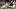 Wisconsin Badgers wide receiver Eugene Hilton Jr. Wisconsin Badgers wide receiver Eugene Hilton Jr.
