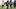 Jul 31, 2026; Houston, TX, USA; Houston Texans wide receiver Nico Collins (12) during training camp at Houston Methodist Jul 31, 2026; Houston, TX, USA; Houston Texans wide receiver Nico Collins (12) during training camp at Houston Methodist