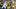 The Dallas Cowboys and Green Bay Packers during Week 6. The Dallas Cowboys and Green Bay Packers during Week 6.
