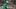 Miami Hurricanes head coach Mario Cristobal