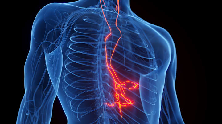 An illustration of the vagus nerve’s location in the human body.
