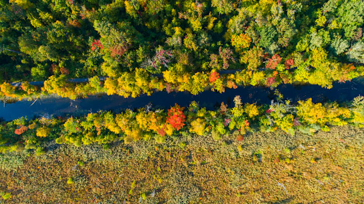 An overhead view of the Erie Canal in autumn.