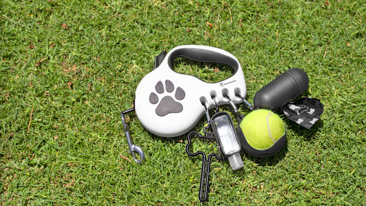 StitchLeash, an Award-Winning, All-in-One Dog Leash Lands in the U.S.