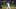 Louisiana State Tigers outfielder Mason Braun Louisiana State Tigers outfielder Mason Braun