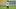 Los Angeles Chargers receiver Brenen Thompson Los Angeles Chargers receiver Brenen Thompson