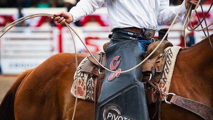 Calgary Stampede Calgary Stampede