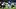 Indianapolis Colts running back Jonathan Taylor killed the Falcons in Germany