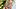Maye Musk was photographed by Yu Tsai in Belize. Swimsuit by Cali Dreaming. Coverup by PatBo. Maye Musk was photographed by Yu Tsai in Belize. Swimsuit by Cali Dreaming. Coverup by PatBo.