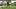 Kentucky State Football Kentucky State Football