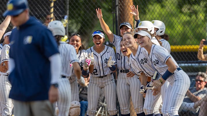 Notre Dame Sherman Oaks softball celebrates after a homerun.