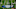 Michael Penix, Rome Odunze, Oregon, Dan Lanning, Tosh Lupoi, Oregon Ducks, Oregon Football Michael Penix, Rome Odunze, Oregon, Dan Lanning, Tosh Lupoi, Oregon Ducks, Oregon Football