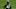 NY Jets, Bryce Huff NY Jets, Bryce Huff