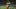 Oregon Ducks Oklahoma Sooners College Football Alamo Bowl Texas Longhorns TCU Horned Frogs triple overtime matchup Oregon Ducks Oklahoma Sooners College Football Alamo Bowl Texas Longhorns TCU Horned Frogs triple overtime matchup