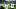 Pittsburgh Steelers quarterback Aaron Rodgers Pittsburgh Steelers quarterback Aaron Rodgers