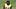 Pittsburgh Steelers cornerback Joey Porter Jr. (24) Pittsburgh Steelers cornerback Joey Porter Jr. (24)